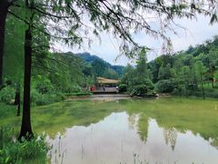 -云溪植物园
