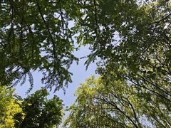-新江湾城公园
