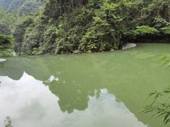 -小七孔景区东门售票处