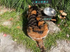 -静安公园(静安寺街道)