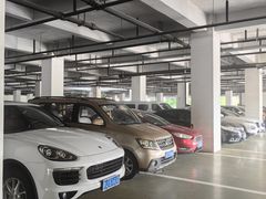 -上海海昌海洋公园-停车场