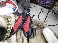 -双冰面馆(茶南店)