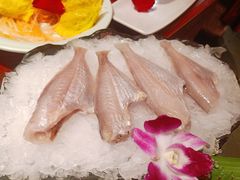财鱼-袁老四重庆老火锅(桐梓坡店)