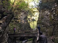 -藏龙百瀑风景区