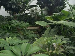 -汤山翠谷生态餐厅