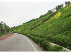 -小绿谷公园