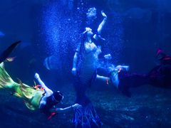 -石林冰雪海洋世界