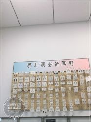 -AI艾耳·专业手工耳洞·穿孔美学馆