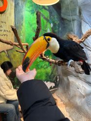 -Zoolung Zoolung动物主题公园(海信广场店)