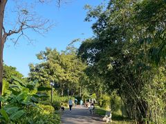 -晓港公园