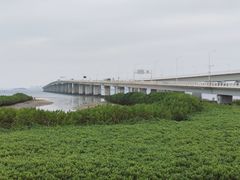 -集美鳌园景区