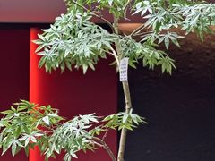 -比尔行旅酒店(天河客运站店)