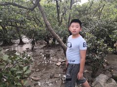 -宝安西湾红树林湿地公园