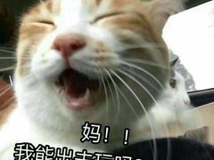 -VR间客漫虚拟现实体验馆(汉街店)