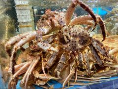 -紫阳海鲜楼·传承闽味(长乐路总店)
