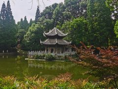 -习家池