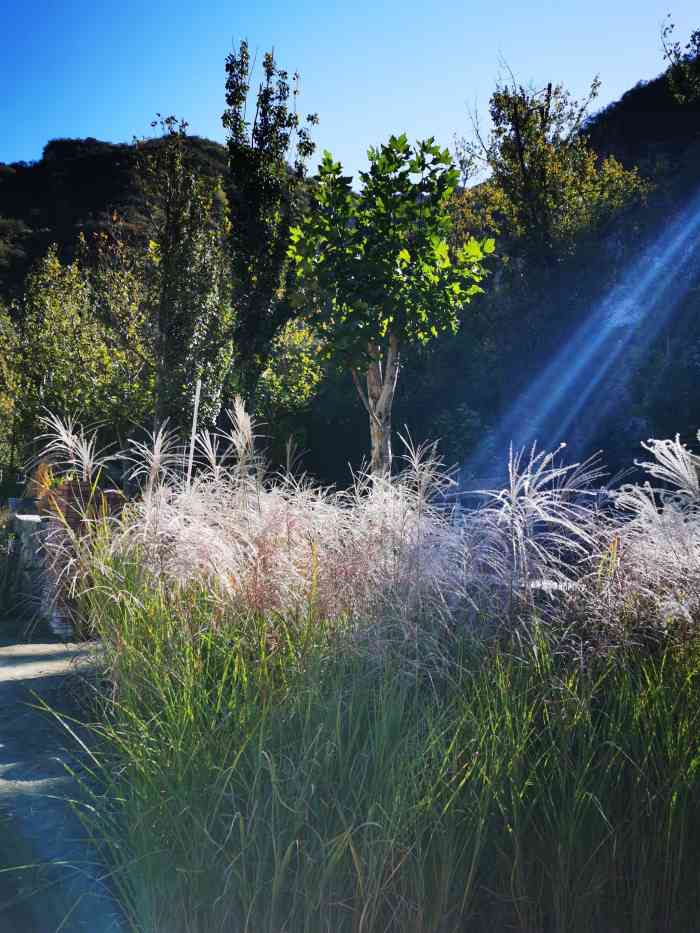 快活林烧烤-"位于北京市房山区距离坡峰岭景区大约3公里.
