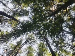 -波尔登森林公园