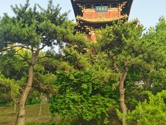 -迎泽公园