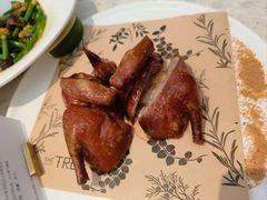 -大树餐厅(大悦城店)