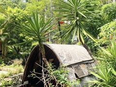 -花溪雨·森林餐厅(石基店)