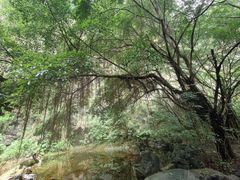-莆田南少林寺