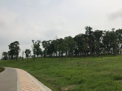 -三圣花乡旅游区