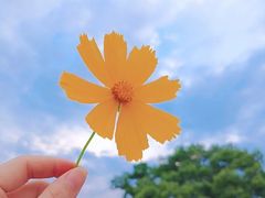 -大桶大足浴(广灵店)