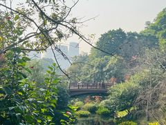 -云溪植物园