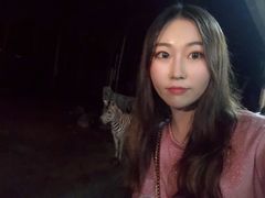 -清迈夜间动物园