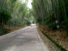 -江西阳明山国家森林公园