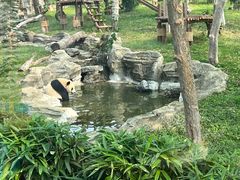 -武汉动物园