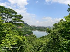 -水濂山森林公园