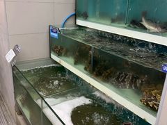 -盒马鲜生(大成店)