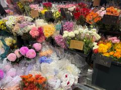 -越秀西湖花市(广州城市广场花卉店)