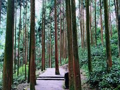 -雁荡山大龙湫景区