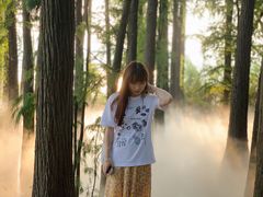 -东湖落雁景区