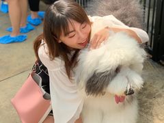 -TrueLove @ Neverland (Husky Cafe)
