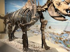 -国家自然博物馆