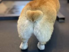 -BiM综合体能训练中心(漕河泾绿洲馆)