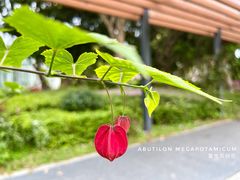 -四海公园(南山区)