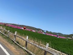 -大连铭湖国际观光牧场