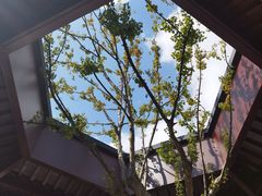 -和平公园