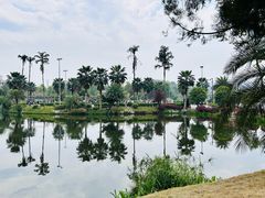 -枫香湖儿童公园