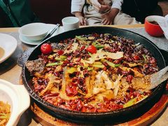 -老板恋上鱼(恒隆广场店)