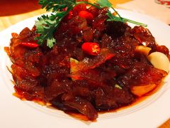 -杨氏青龙虾·羊蝎子(托乐嘉店)