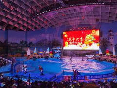 -海合安武汉极地海洋公园