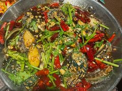 -曼听小寨海鲜烧烤·大连辣炒大王(盖州街店)