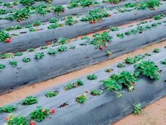 -任达丞国农庄(任达山庄店)