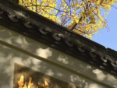 -西湖风景区十里琅珰-五云山
